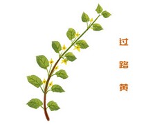 乡愁阅读理解答案