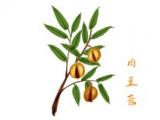 妈妈，我想对您说小学作文_妈妈我想对您说小学作文